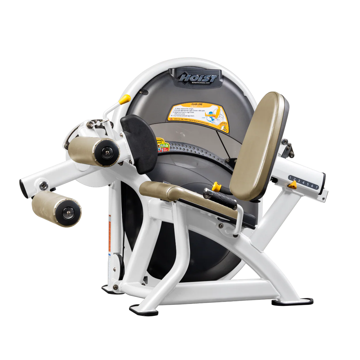 Leg Curl - Image 102