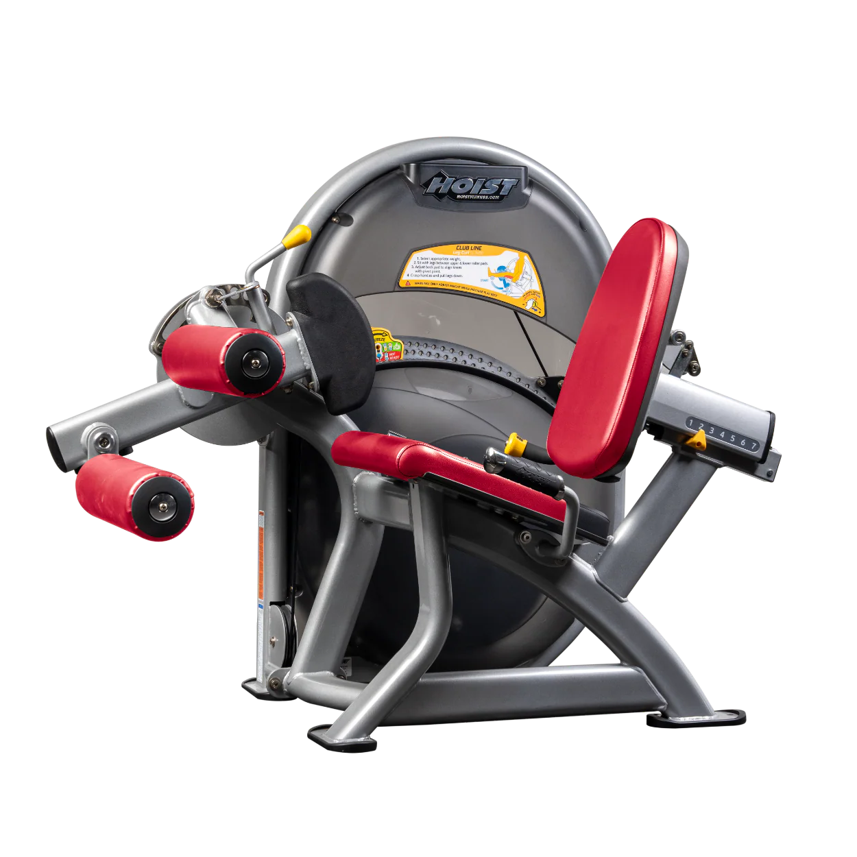 Leg Curl - Image 34