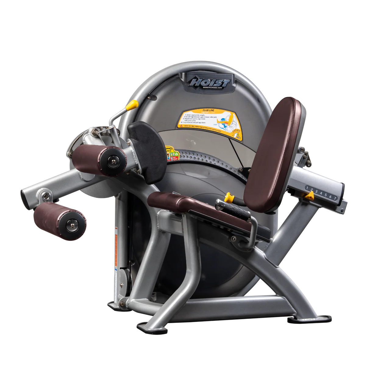 Leg Curl - Image 58