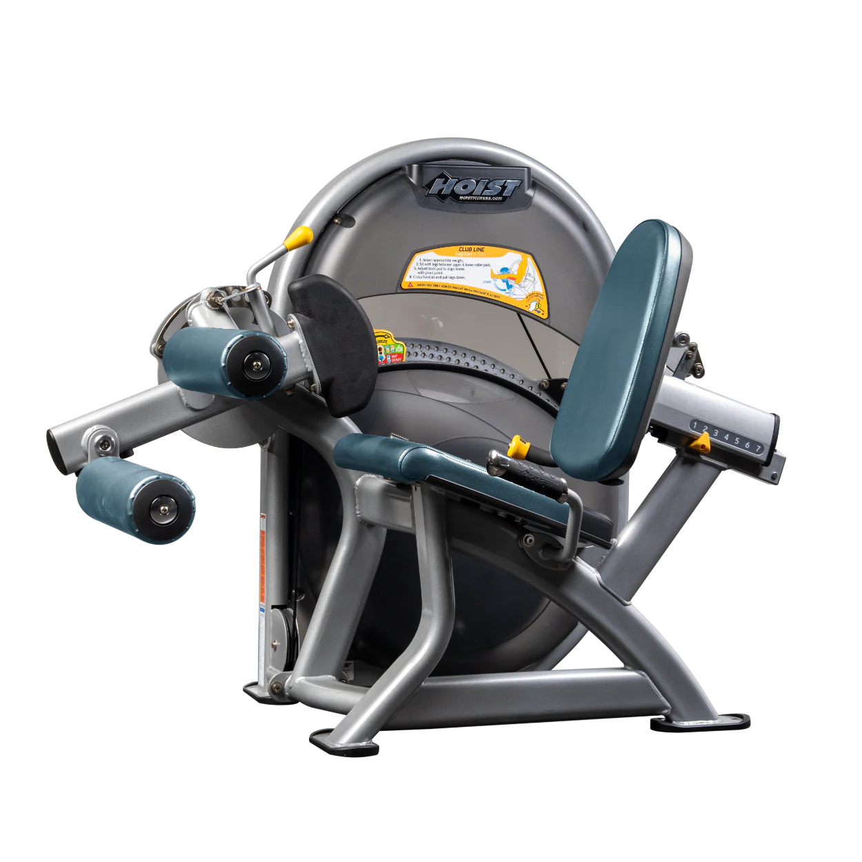 Leg Curl - Image 62