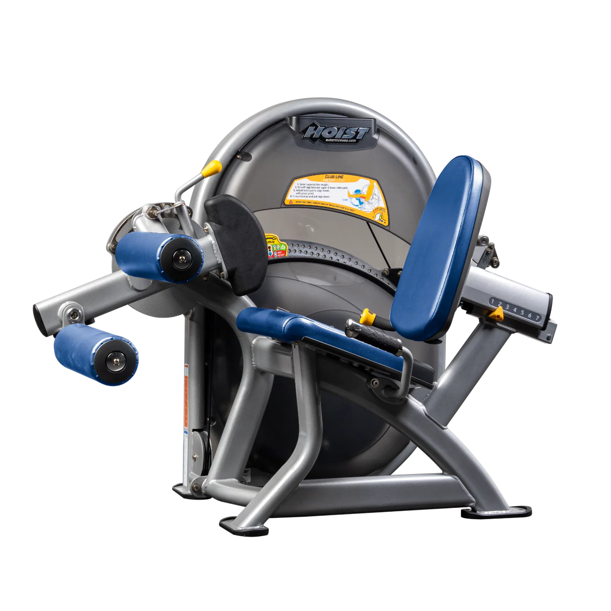 Leg Curl - Image 63