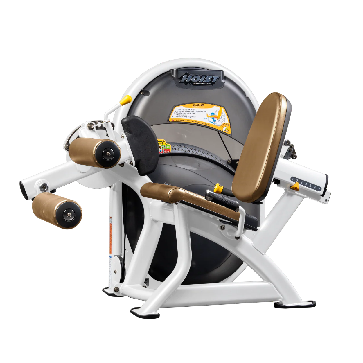 Leg Curl - Image 73