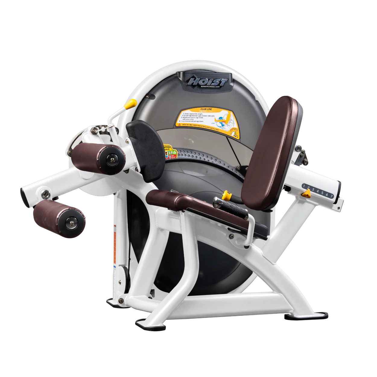 Leg Curl - Image 82