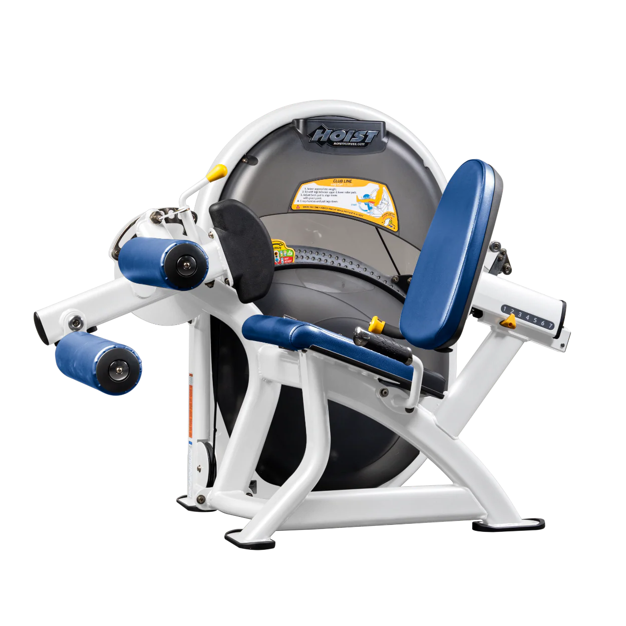 Leg Curl - Image 86