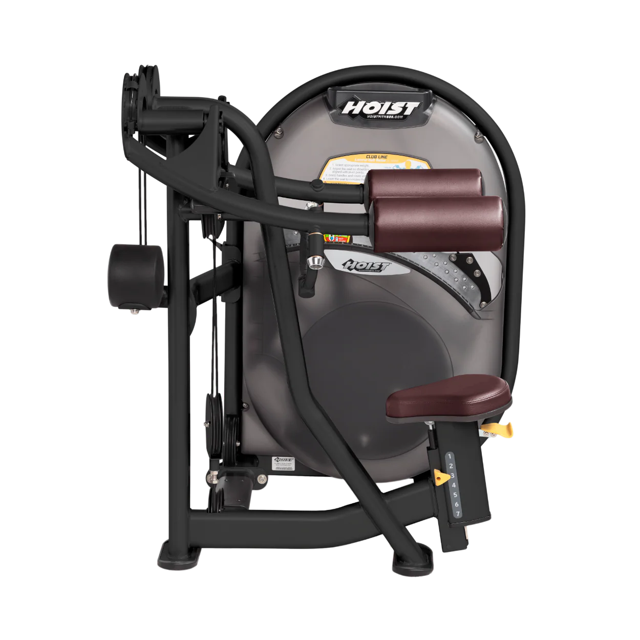 Lateral Raise - Image 13