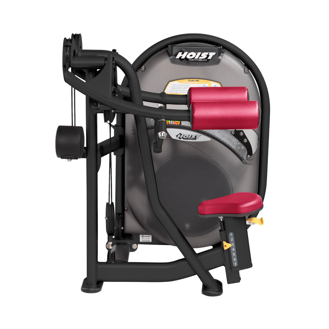 Lateral Raise - Image 14