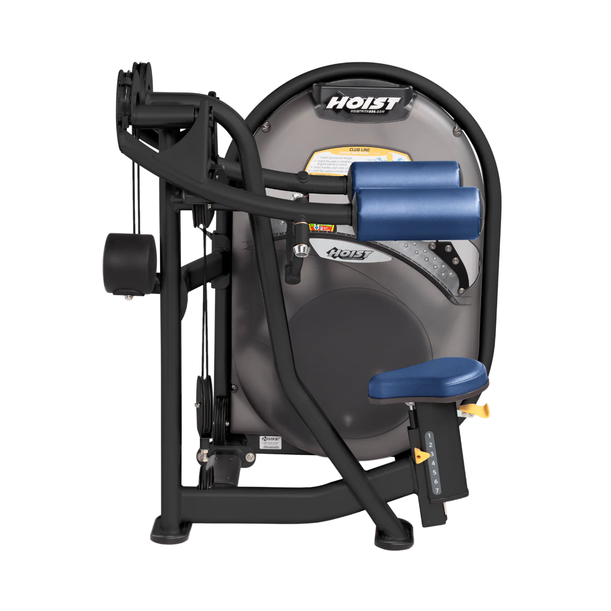 Lateral Raise - Image 30