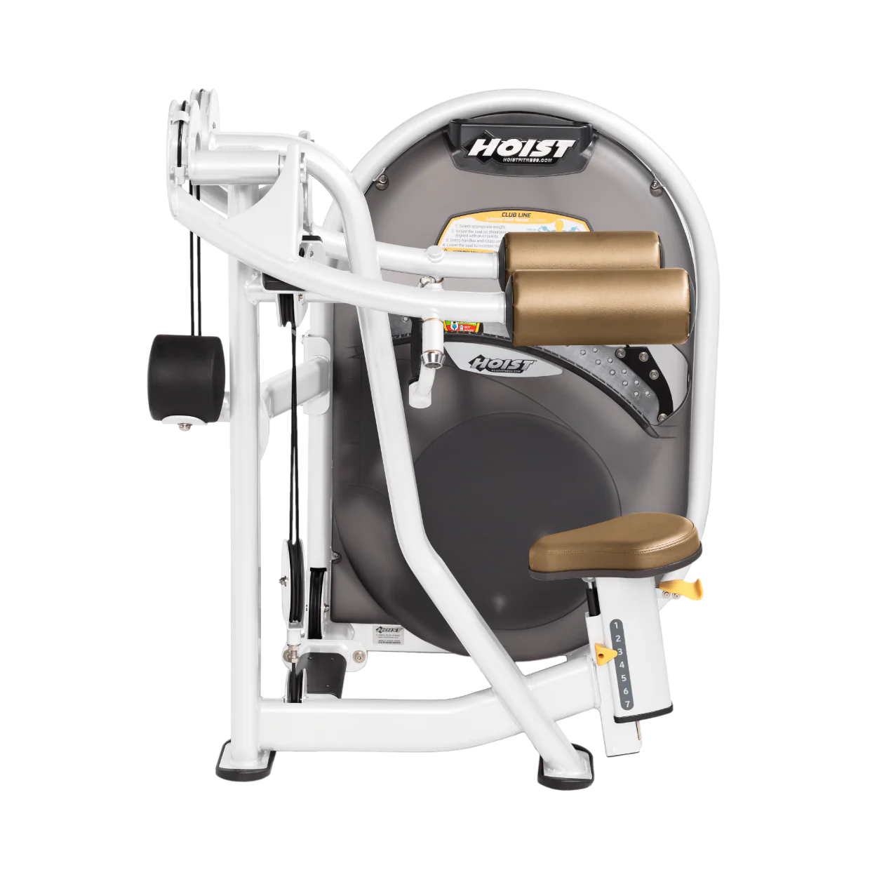 Lateral Raise - Image 51