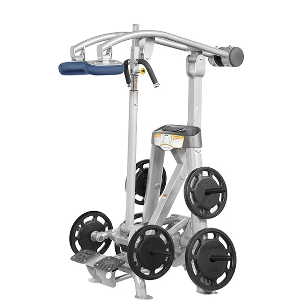 Standing Calf Raise - Image 13