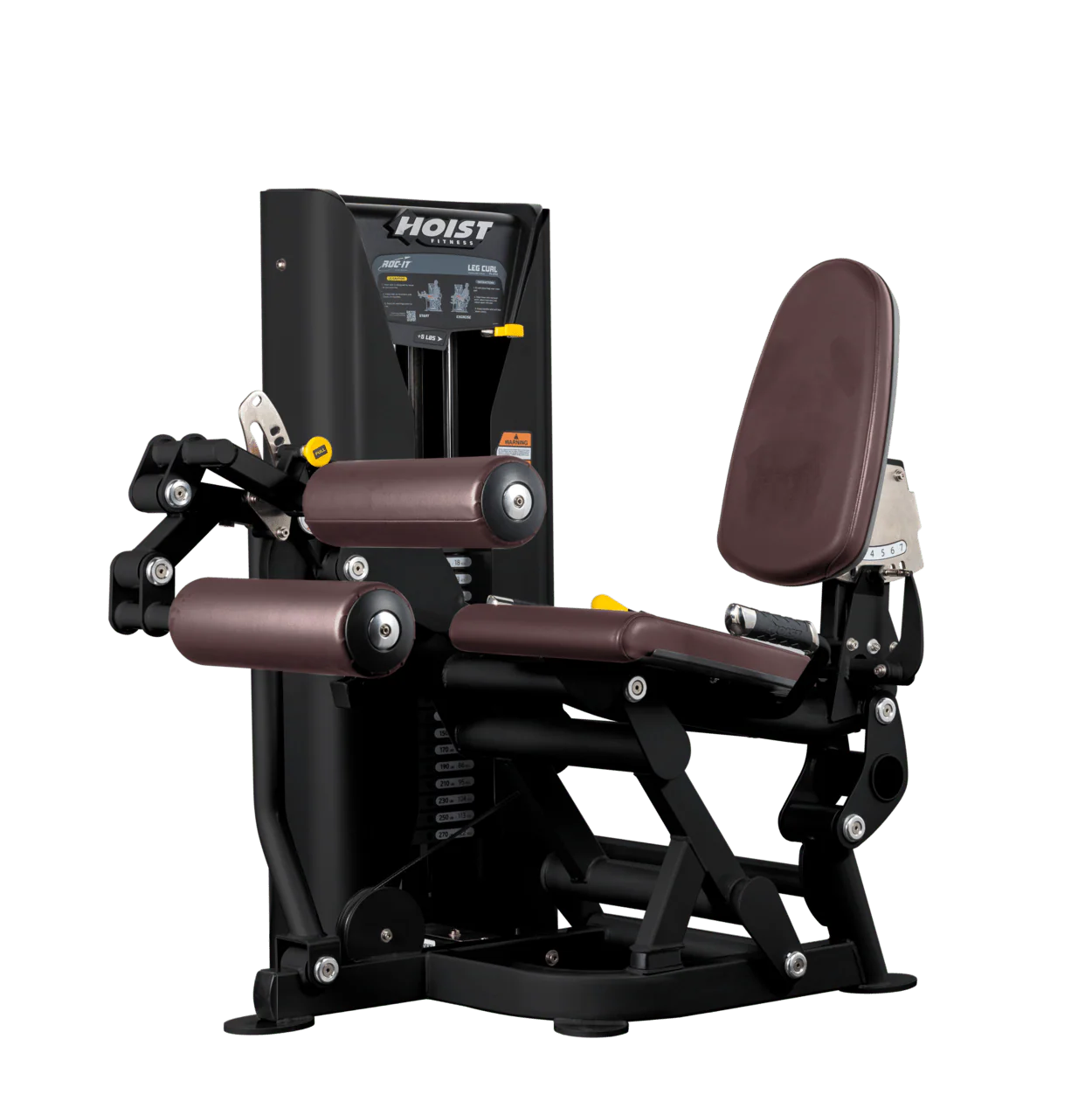 Leg Curl - Image 16