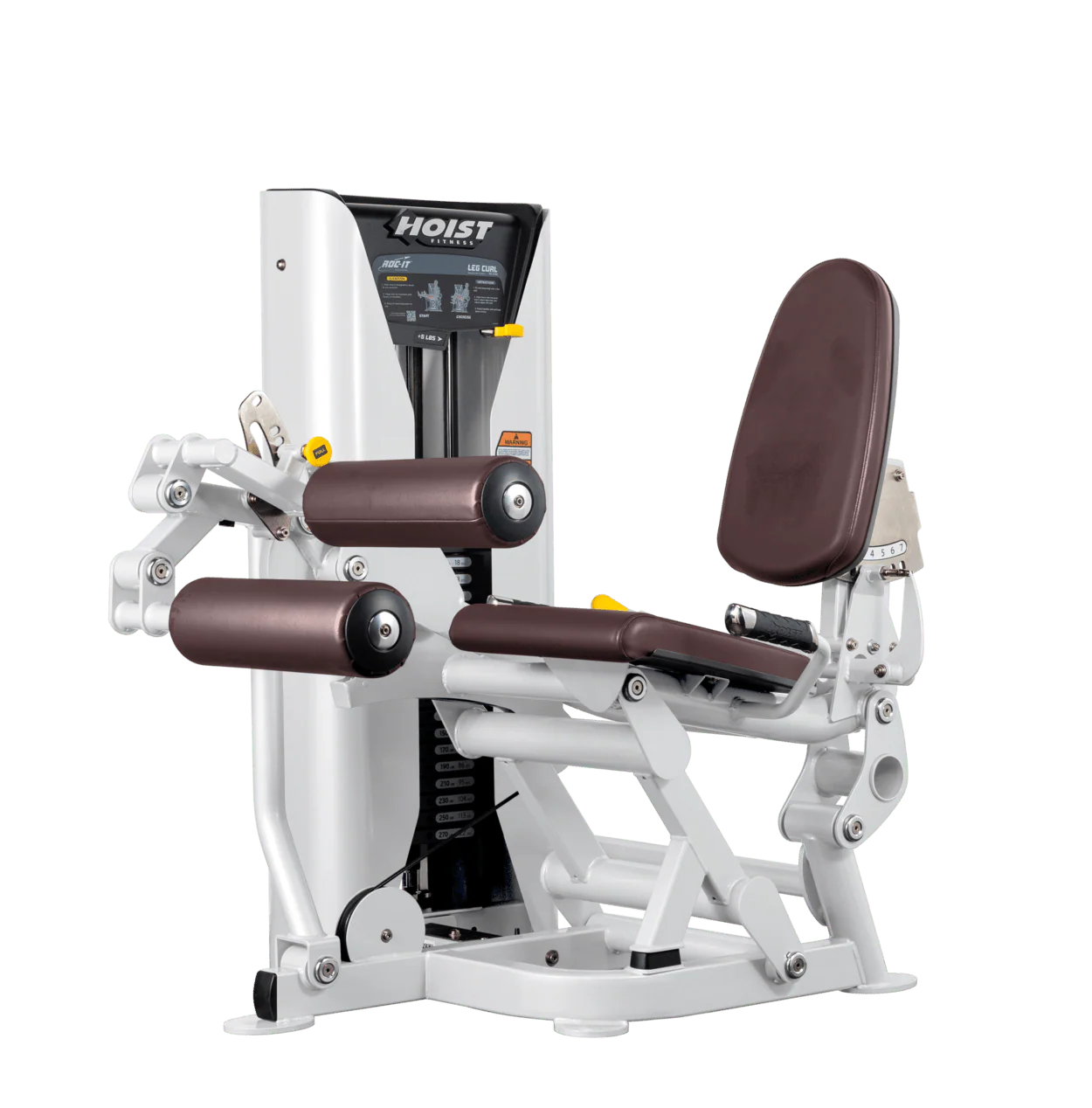 Leg Curl - Image 38